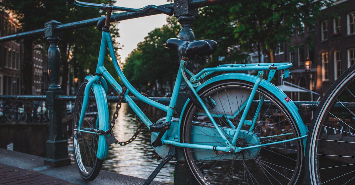 A Guide to Dutch Grammar Workbooks Available Locally