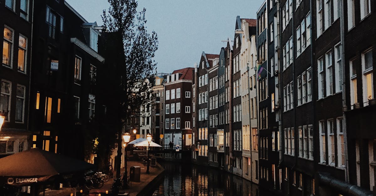 Apps for Conversational Practice in Dutch