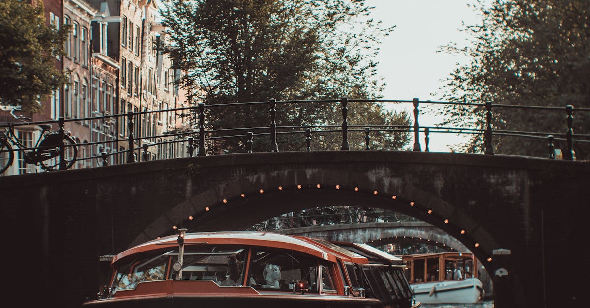 Choosing the Right Study Guide for Exam Preparation in Dutch