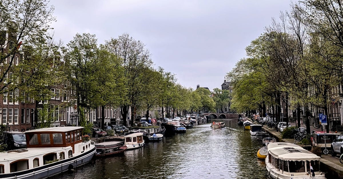 Common Mispronunciations in Dutch and How to Avoid Them