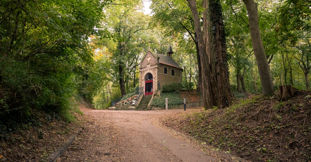 Common Mistakes in Dutch Grammar and How to Avoid Them