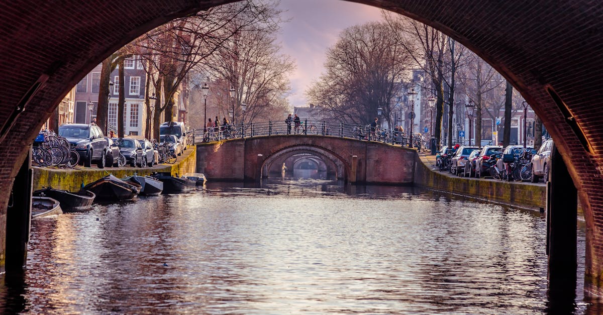 Common Mistakes in Dutch Vocabulary and How to Avoid Them