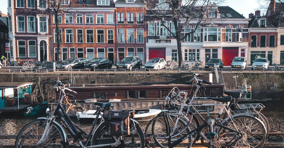 Comparing Free versus Paid Online Dutch Courses