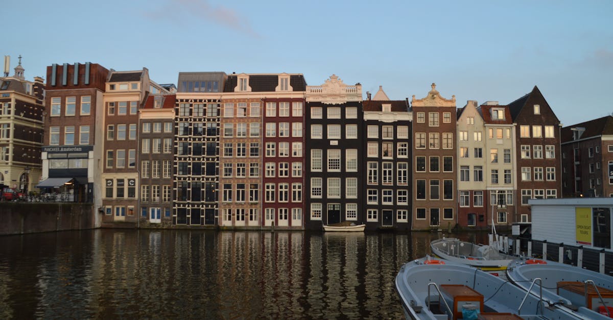 Comparing Popular Dutch Language Learning Apps