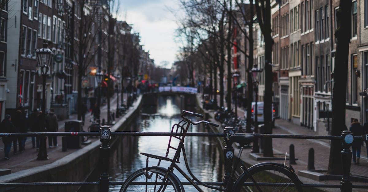 Creating a Structured Language Learning Plan with Exchange Partners