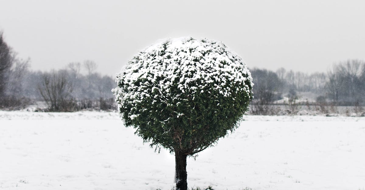 Dining Etiquette: What to Expect at a Dutch Dinner Table