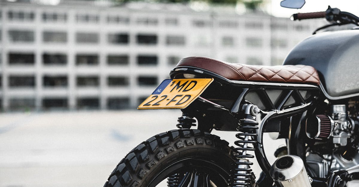 Discovering Haarlem’s Best Bakeries and Pastry Shops