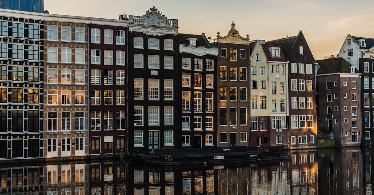 Essential Dutch Language Books for Beginners in Haarlem