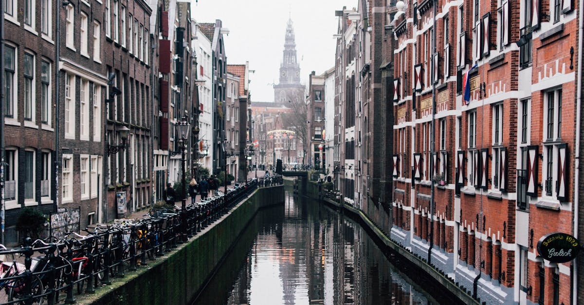 Essential Dutch Sentence Structures Explained