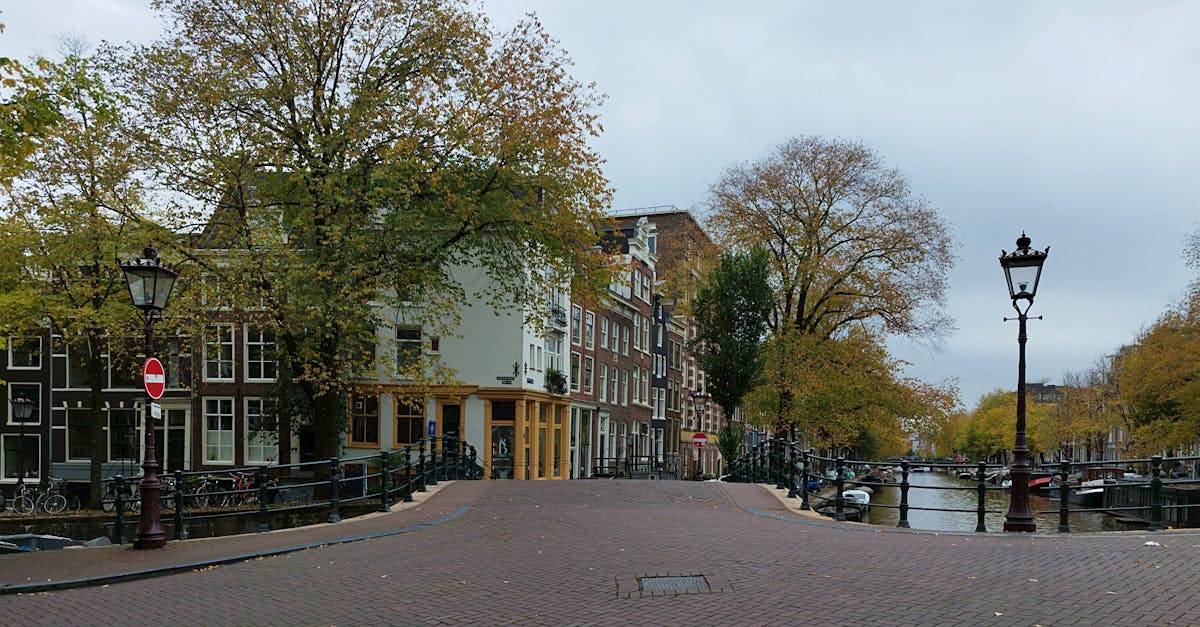 Essential Dutch Words for Beginners in Haarlem