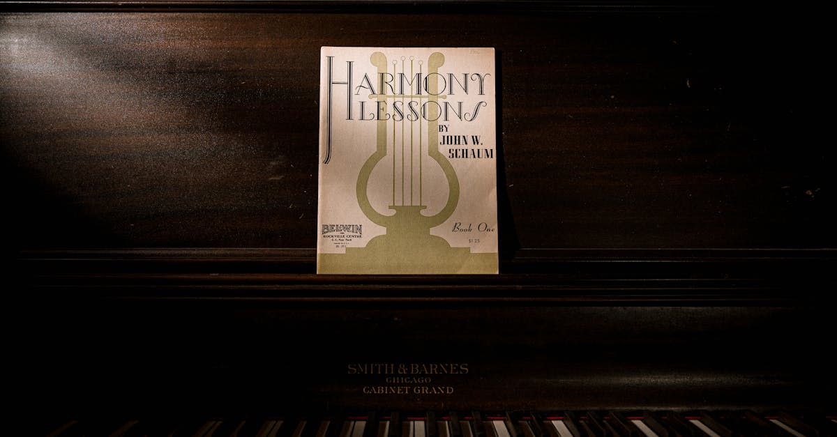 Evaluating the Curriculum of Dutch Language Schools in Haarlem