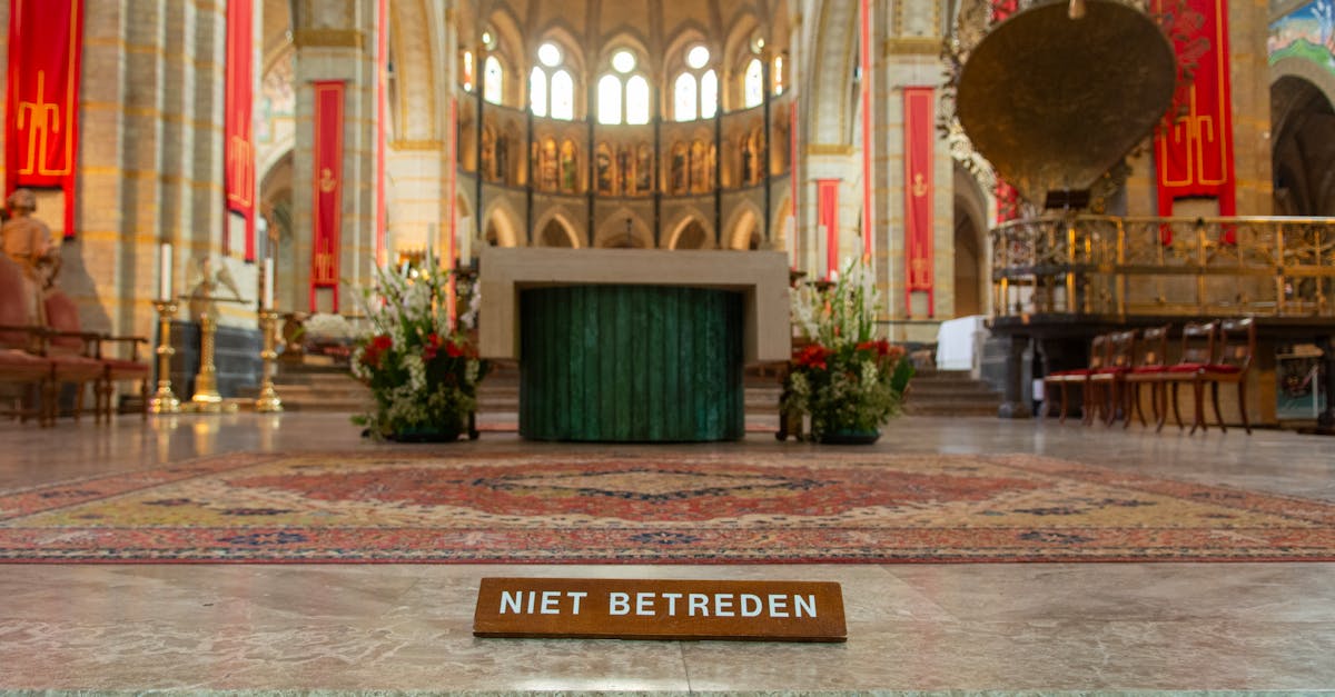 Exploring Dutch Culture Through Haarlem Language Programs