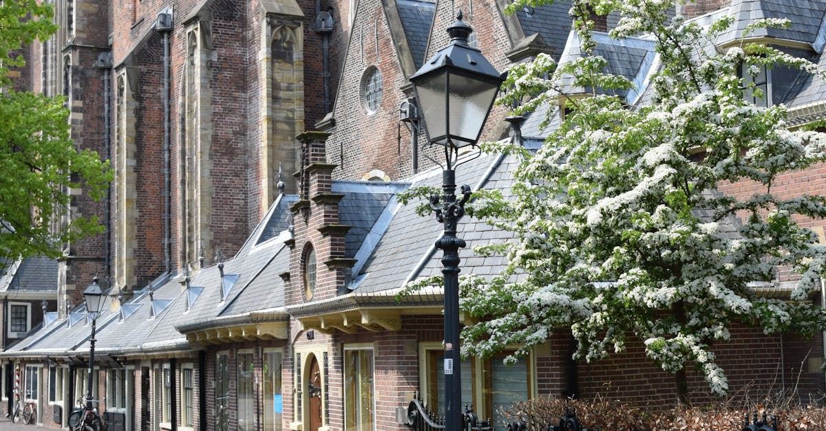 Exploring the Golden Age: The Art of Haarlem's Old Masters