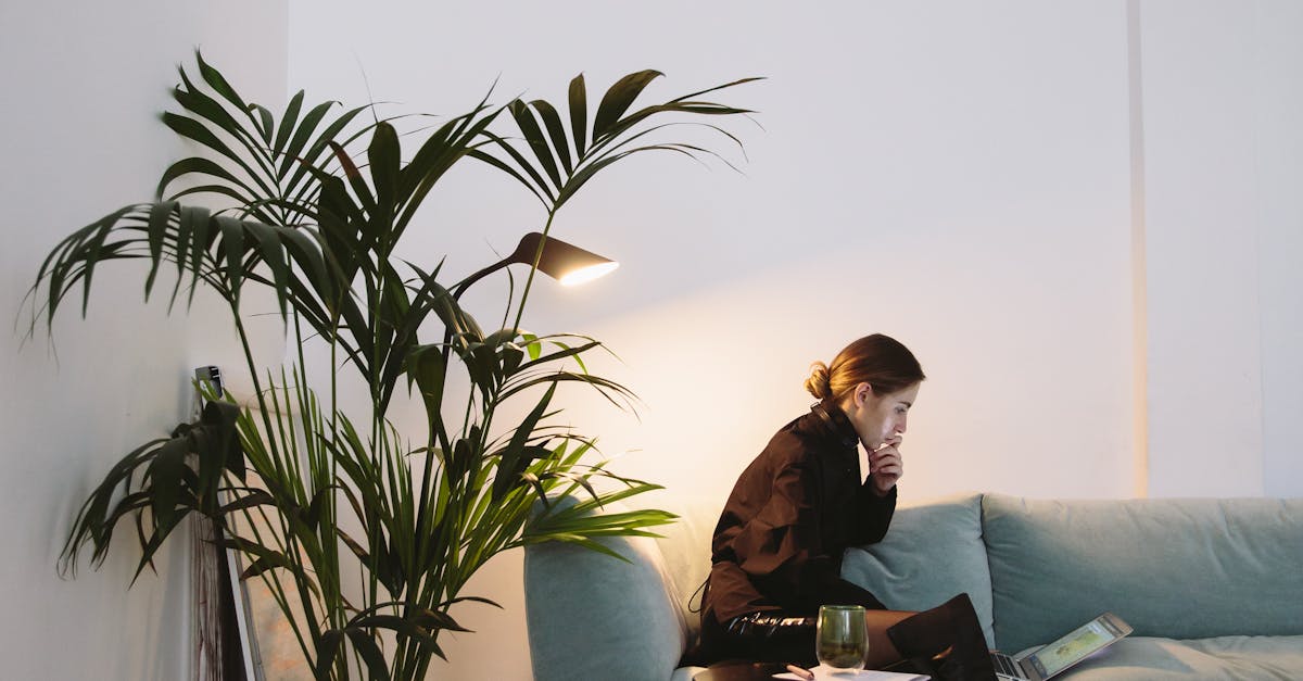 Exploring the Heritage of Dutch Masters in Haarlem