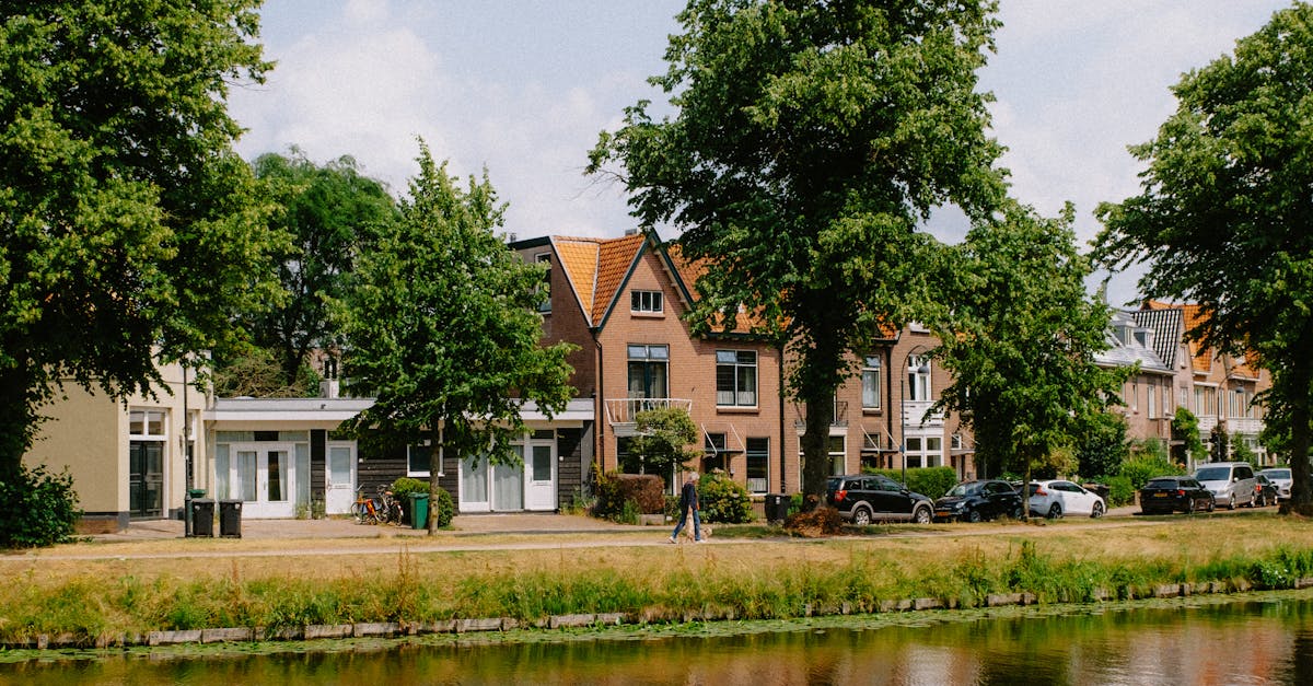 Features to Look for in Dutch Language Apps