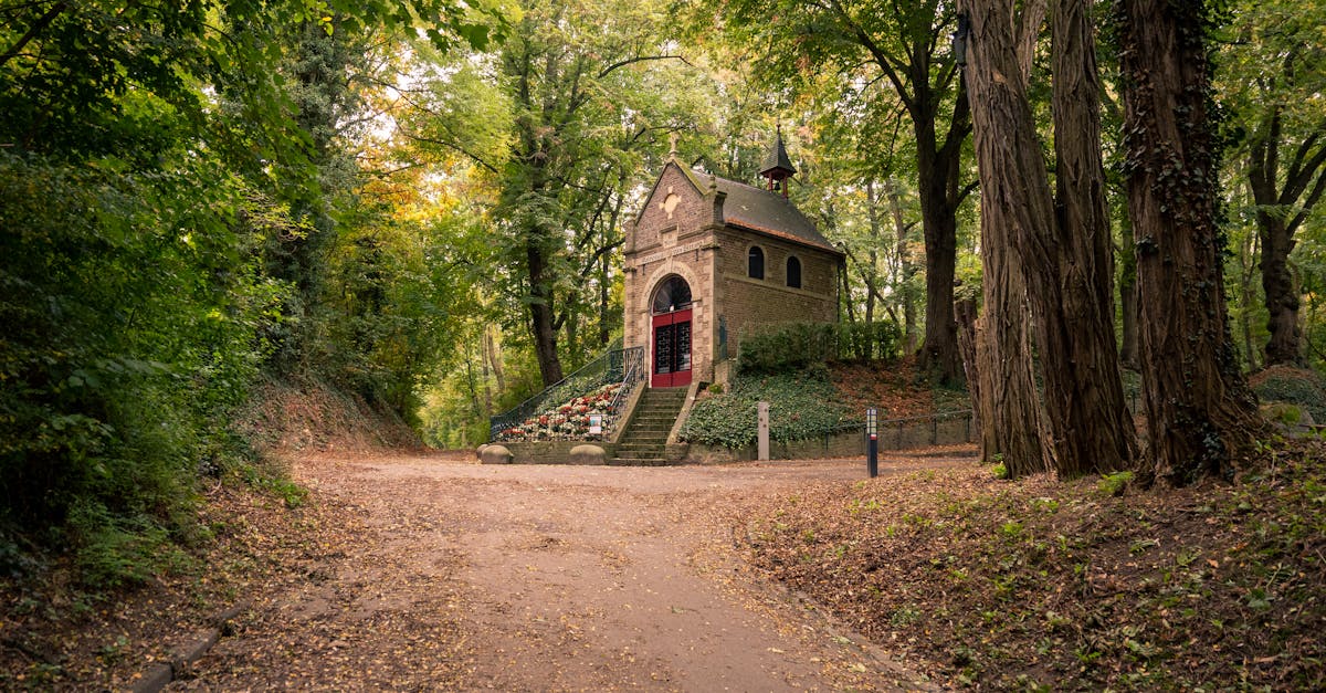 Formulating Questions in Dutch: Techniques and Exercises