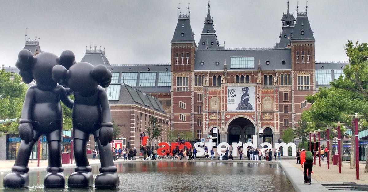 Free vs Paid Online Dutch Lessons: Which is Worth It?