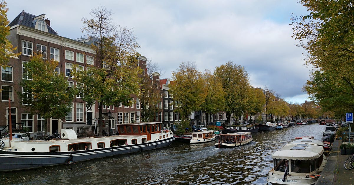 Fun Techniques for Expanding Your Dutch Vocabulary