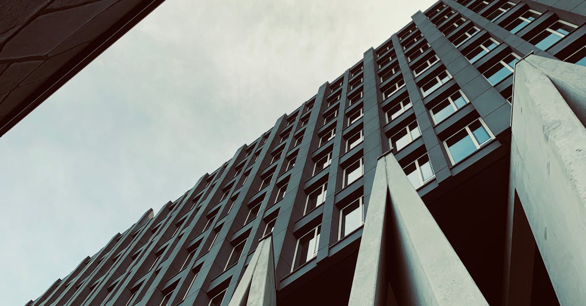 How Dutch Language Apps Can Improve Your Pronunciation Skills