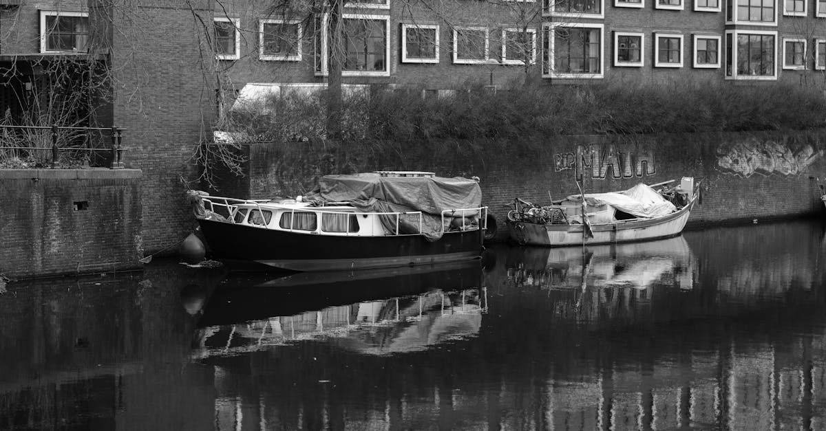 How to Choose the Right Online Course for Learning Dutch