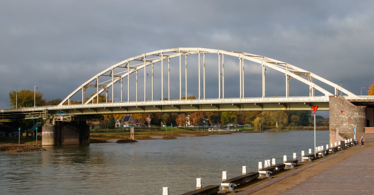 Influential Dutch Artists Who Shaped Global Art Trends