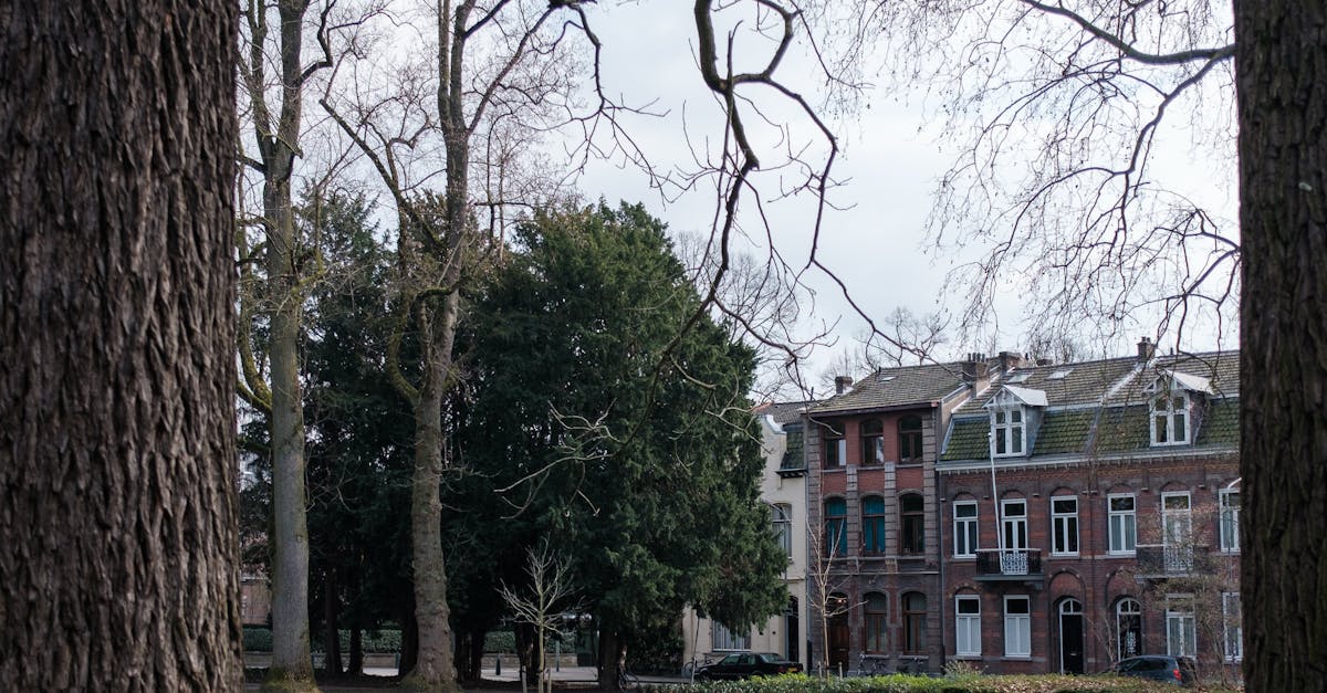 Innovative Designs: Modern Art Spaces in Haarlem