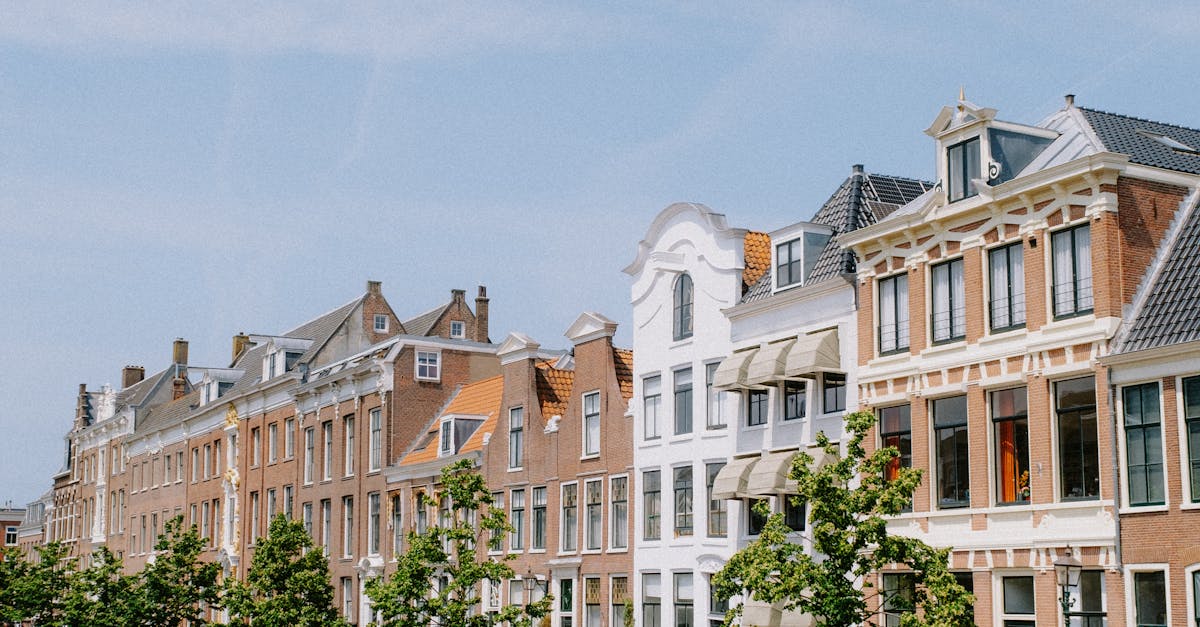 Interactive Dutch Lessons: A Look at Online Course Features