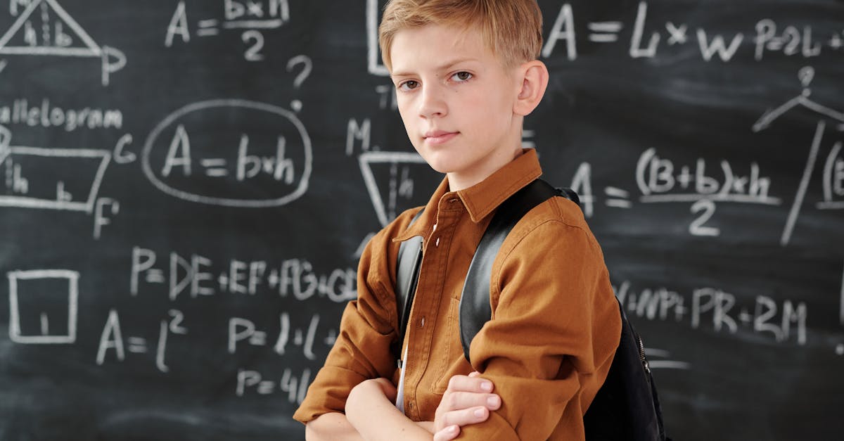 Mastering Gender and Articles in the Dutch Language
