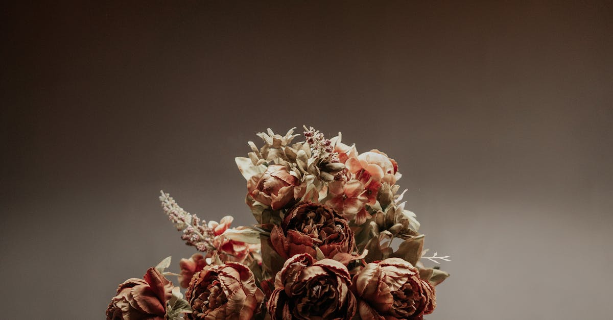 Mastering the Dutch 'G' Sound: Tips and Techniques