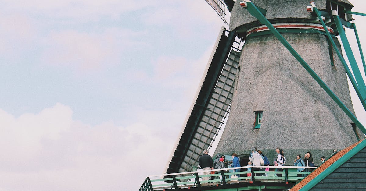 Must-Try Street Foods When Visiting Haarlem