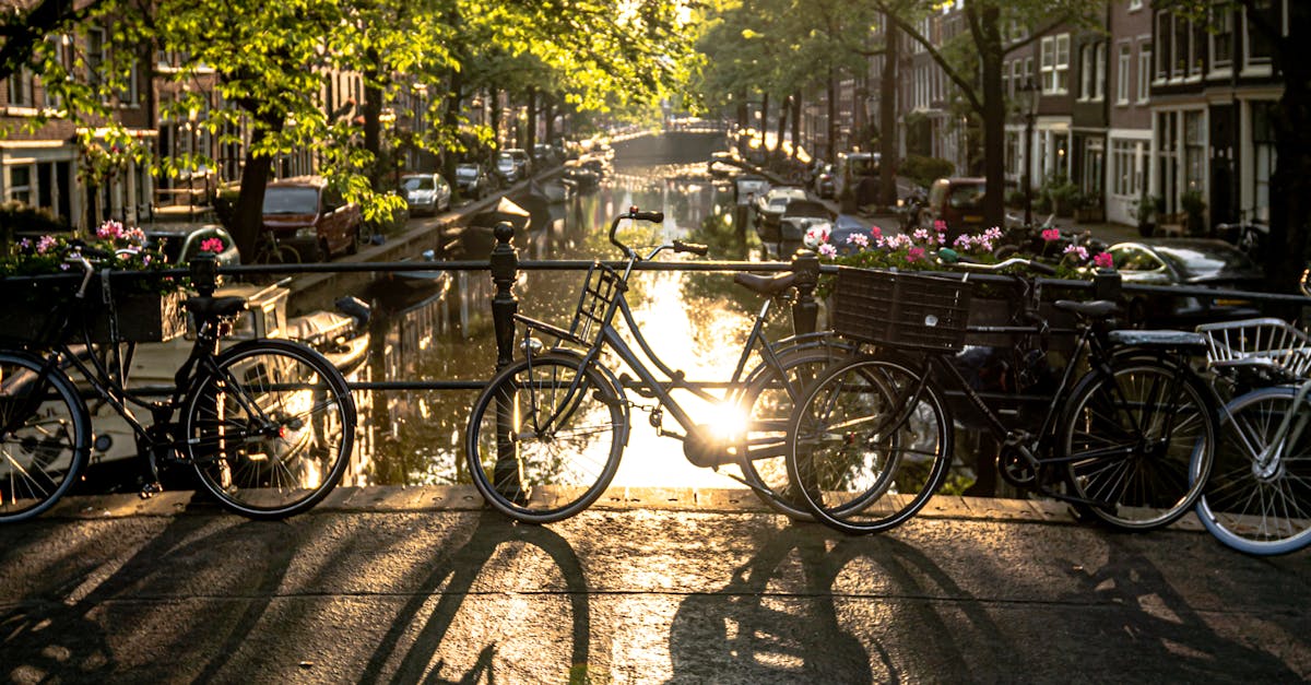 Navigating Small Talk and Social Interactions in Haarlem