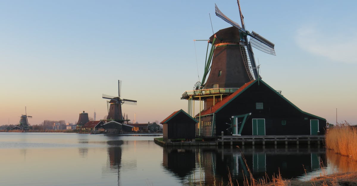 Online Platforms for Connecting with Dutch Language Partners