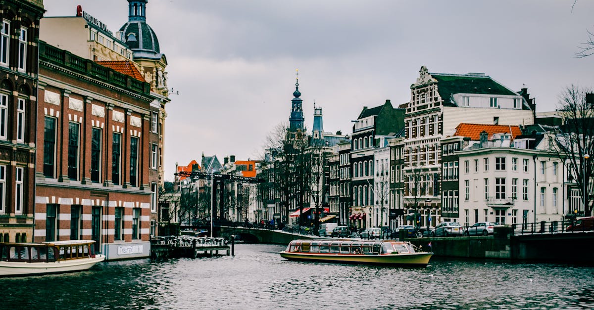 Practical Exercises for Mastering Dutch Vocabulary