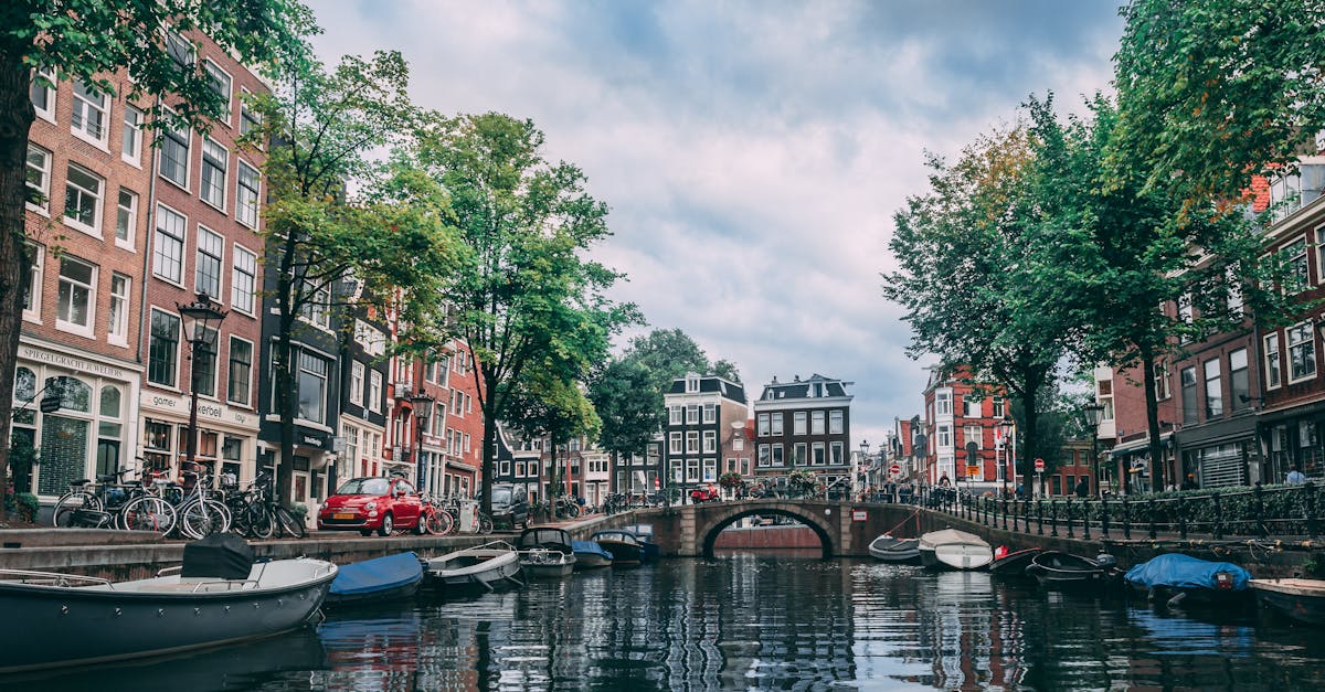 Preservation of Haarlem's Historical Architecture