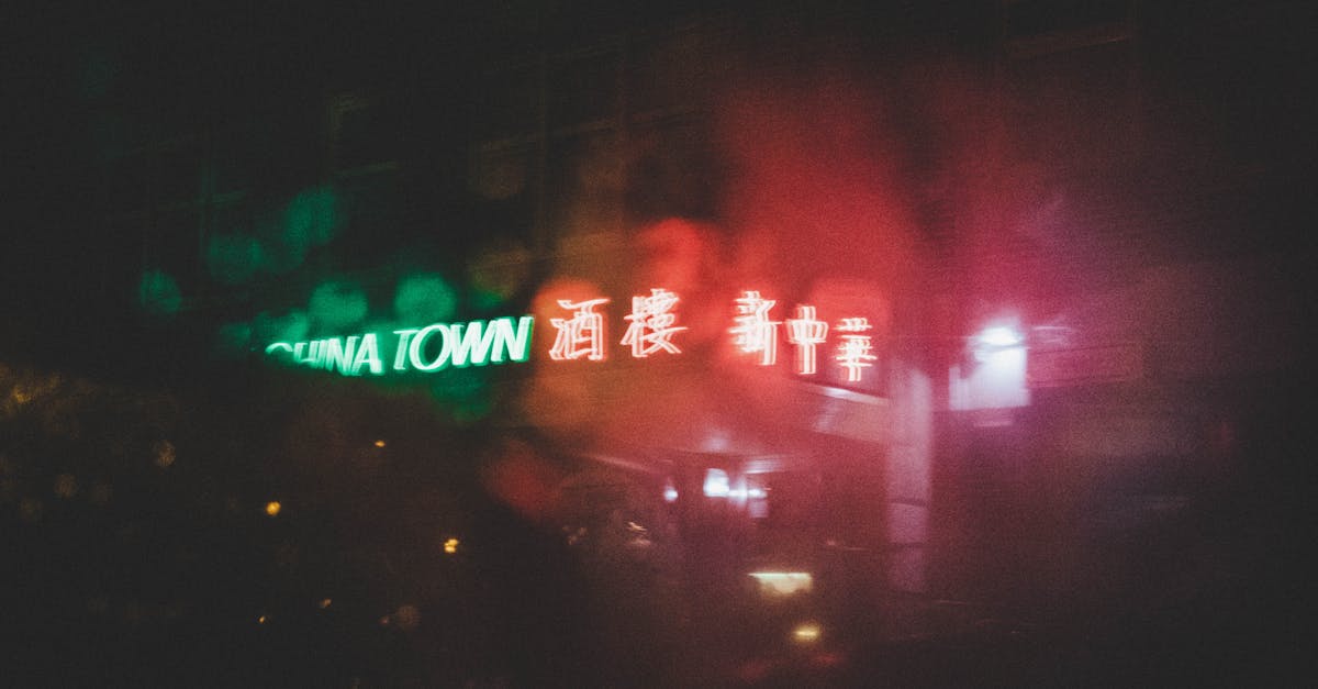 Structuring Your Learning Path with Online Dutch Courses