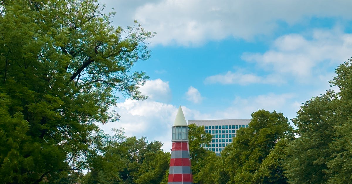 Techniques for Active Listening in Dutch Conversations