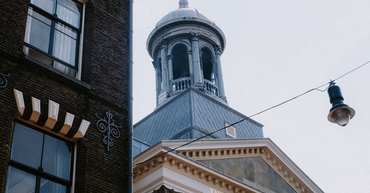 The Best Dutch Phrasebooks for Travelers in Haarlem