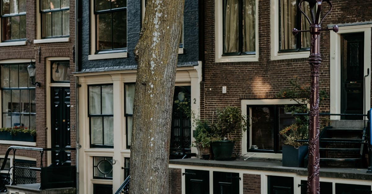 The Role of Silence in Dutch Conversations