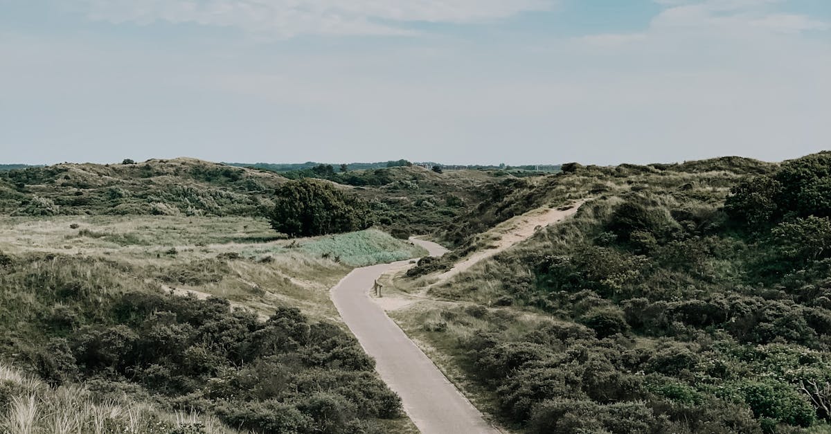 The Role of Windmills in Dutch Cultural Identity