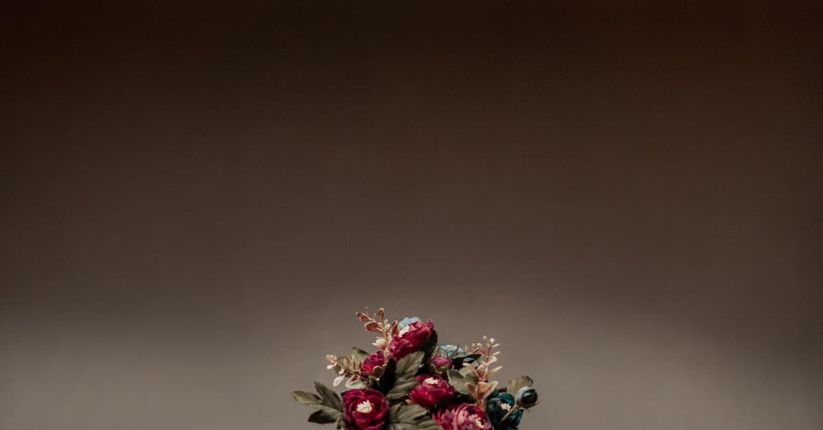 The Significance of Haarlem's Sinterklaas Celebrations