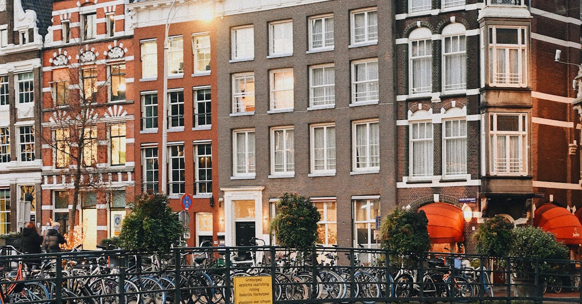 Thematic Vocabulary Lists for Dutch Learners in Haarlem