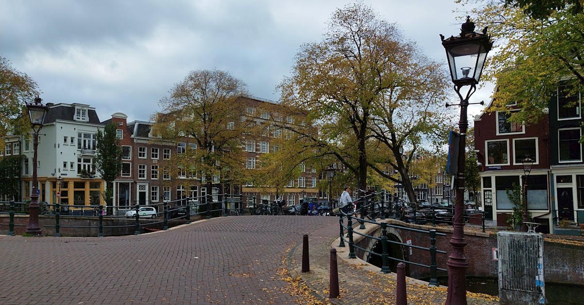 Tips for Active Listening in Dutch Conversations