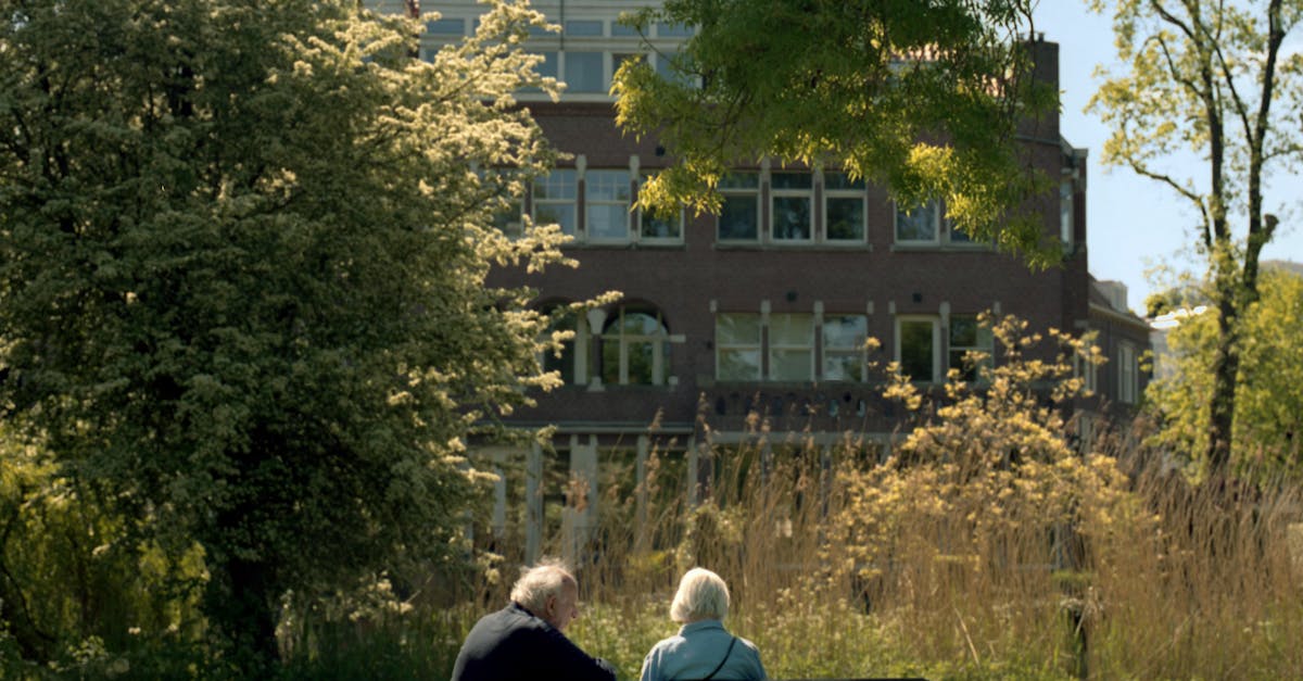 Understanding Dutch Directness in Communication