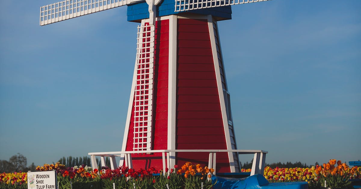 Understanding Sinterklaas: Dutch Christmas Traditions