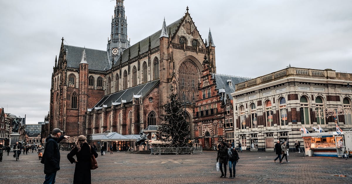 Understanding the Significance of Haarlem's Beer Festival