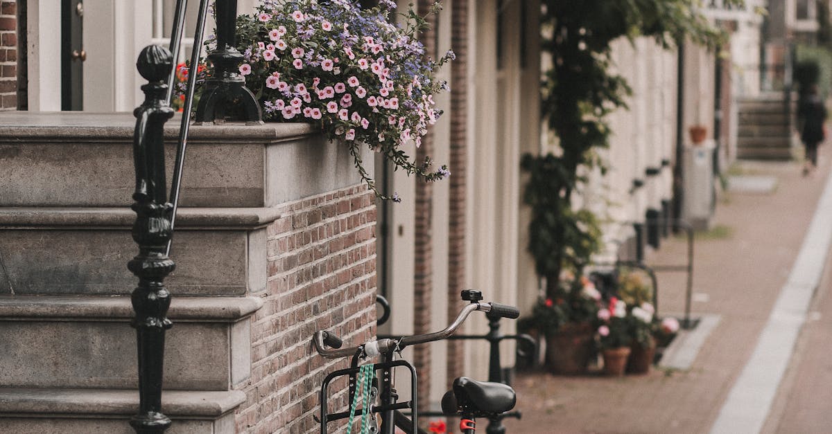 Utilizing Textbooks to Enhance Dutch Vocabulary Skills