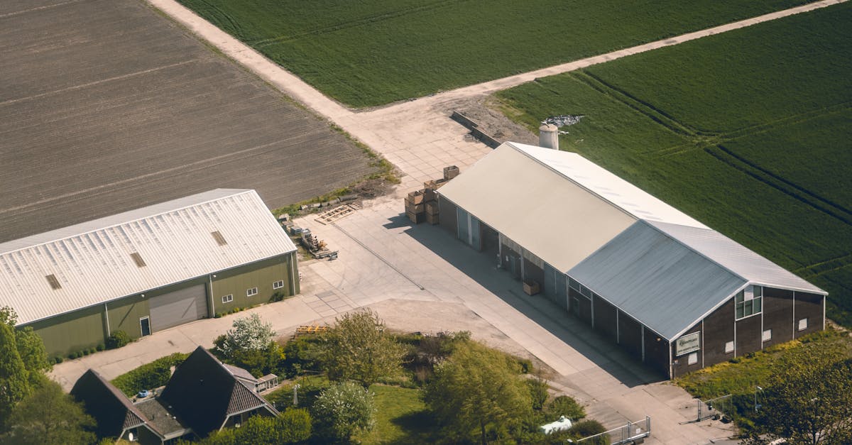 Vocabulary Acquisition Through Dutch Music and Songs