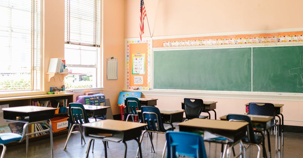 What to Expect from a Dutch Language Course in Haarlem